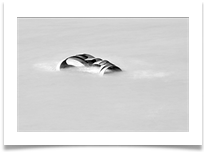 Marys Shell 1 - Chris Beesley